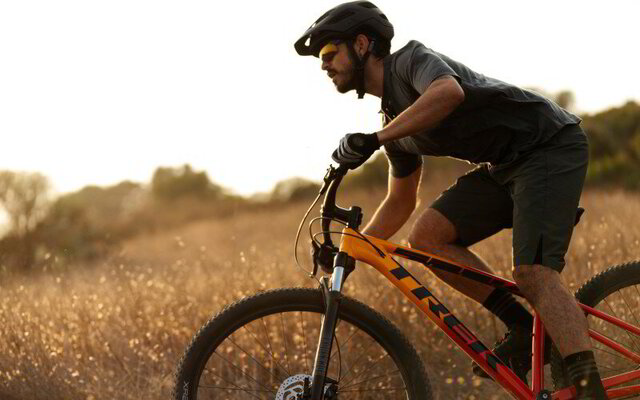 Trek Bikes at Ridgeway Cycles, Wantage 