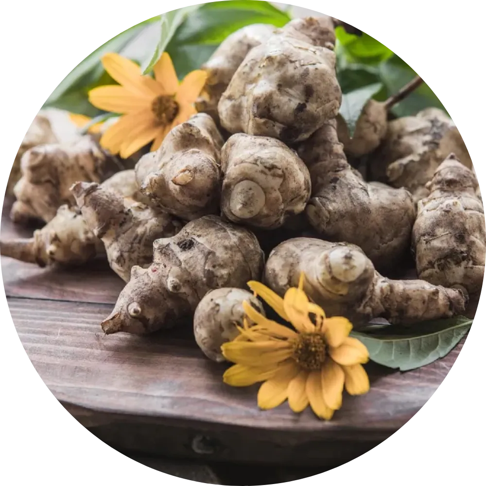 Inulin from Jerusalem Artichoke Root