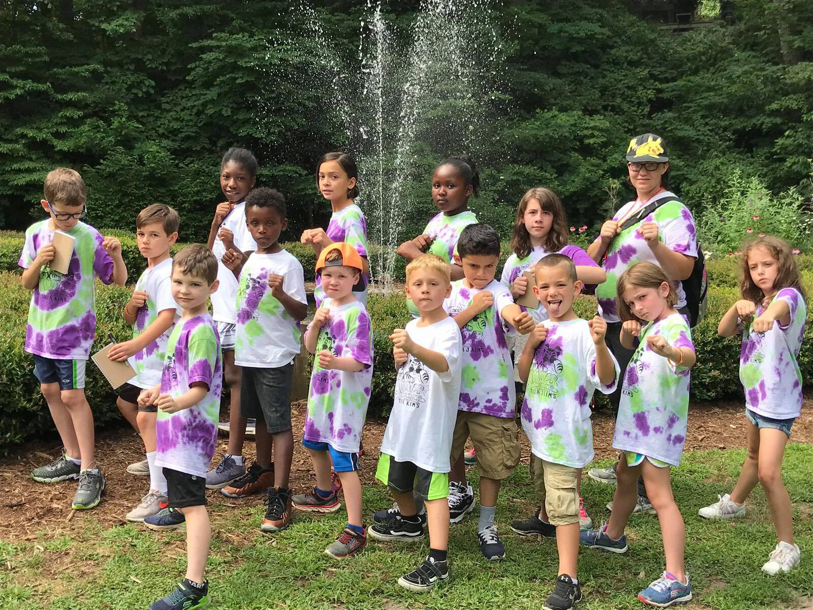 Summer Camp for Kids in Clemmons and Greensboro Tiger Kim’s Tae Kwon Do