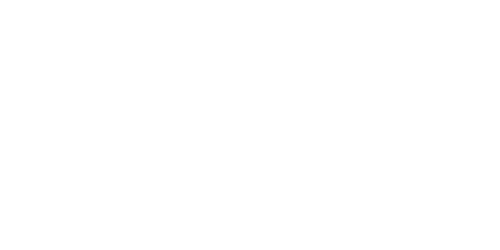 Clean Wizards Logo