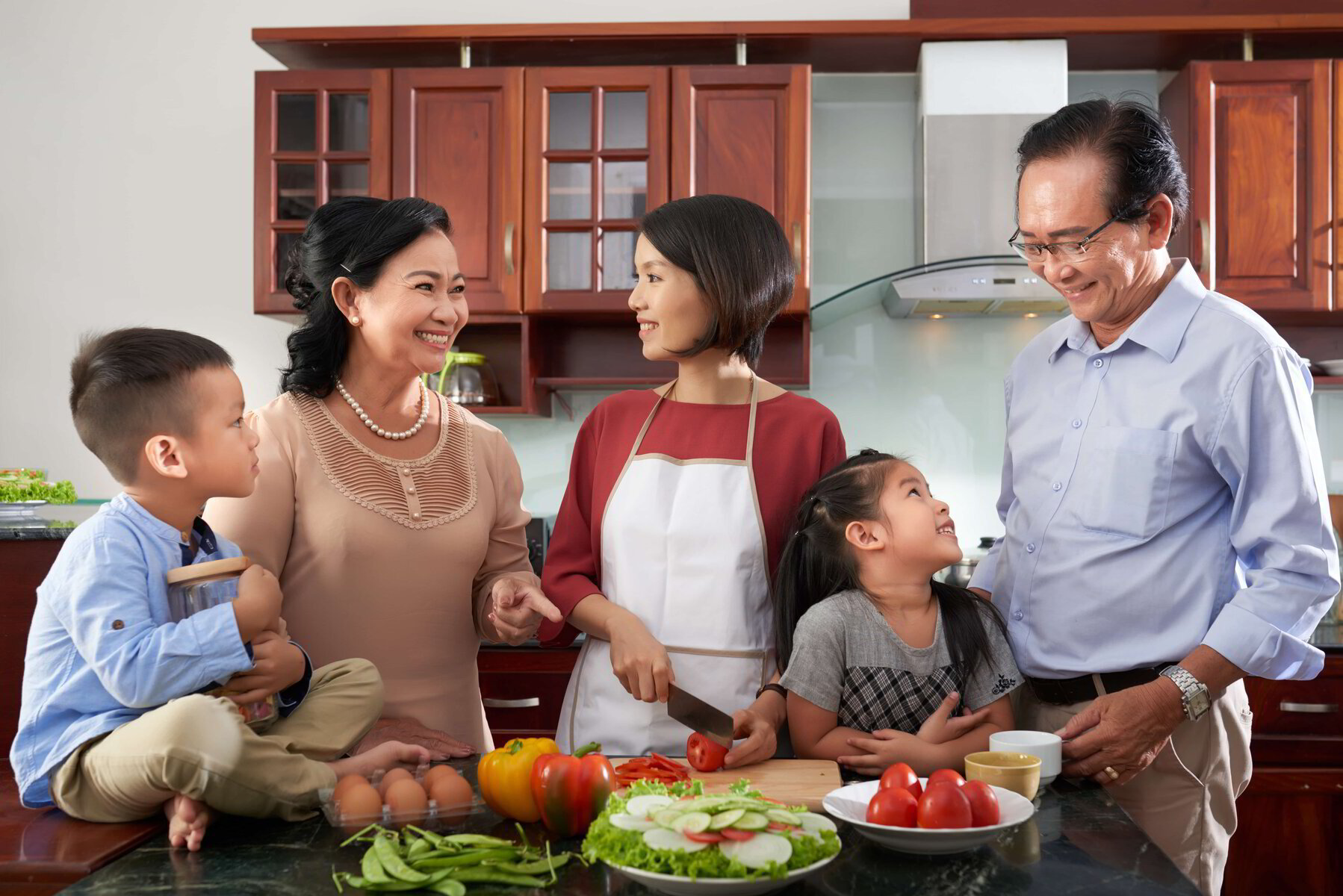 6 pcs Royal Prestige nurturing your family skilled pan