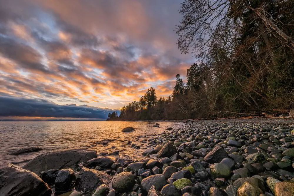 Comox Rentals Considering a Move to the Comox Valley? Your Guide to Real Estate and ...