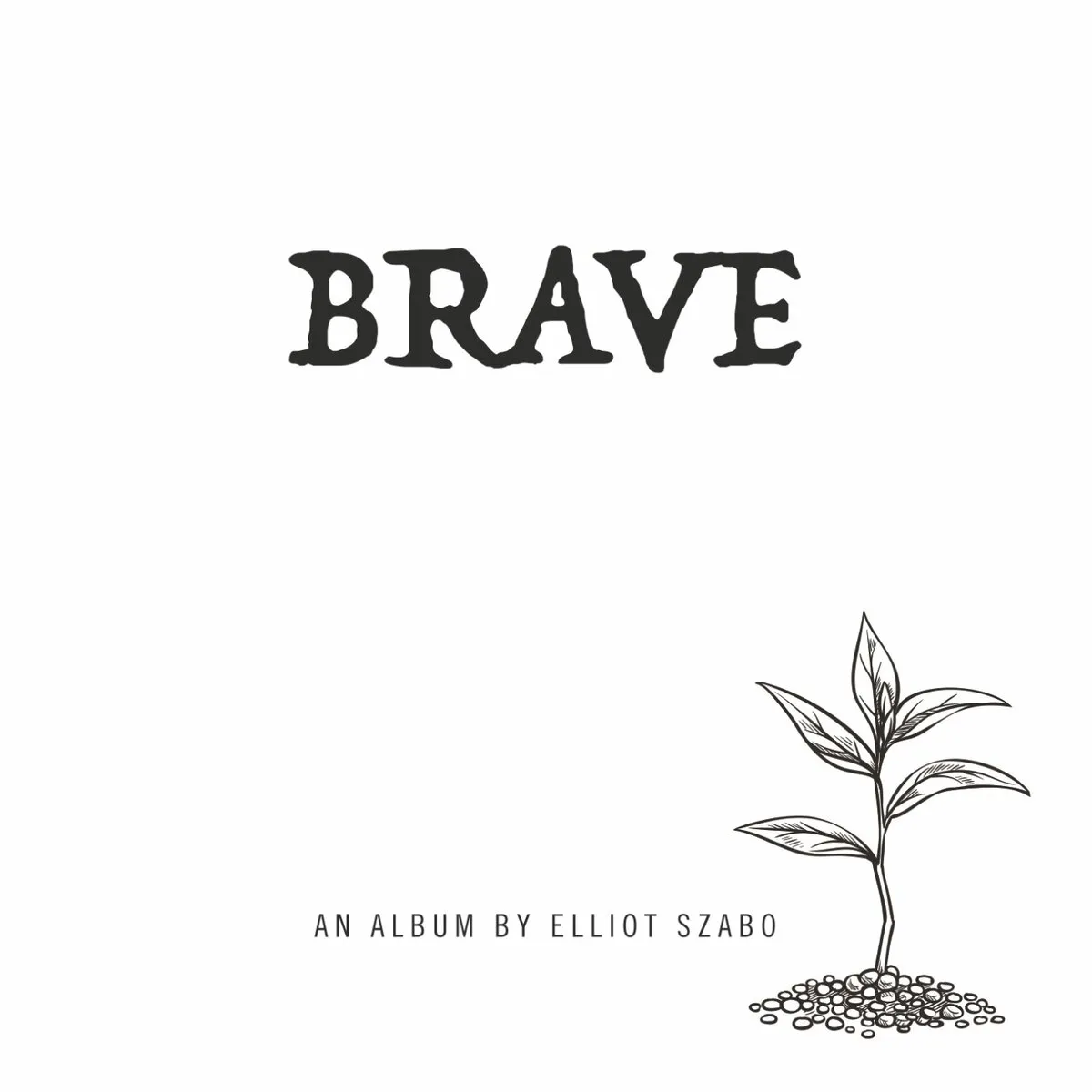 Brave - Physical Album Disc