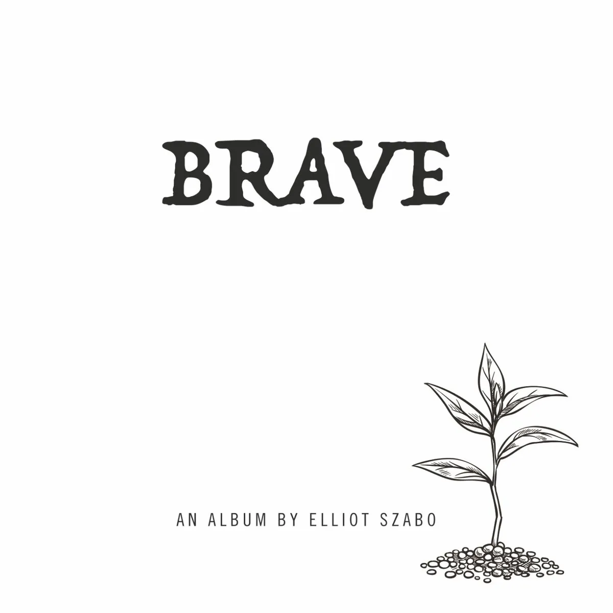Brave Soundtrack Cover