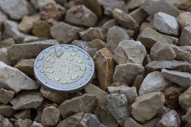 Cuidado y mantenimiento de jardín profesional