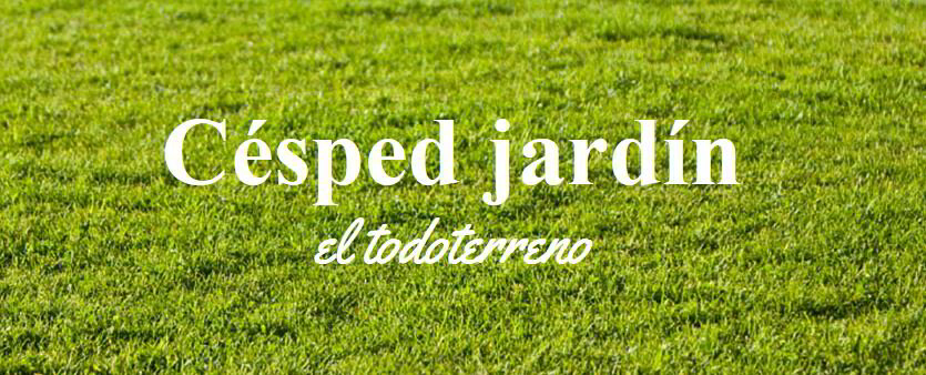 Cuidado y mantenimiento de jardín profesional