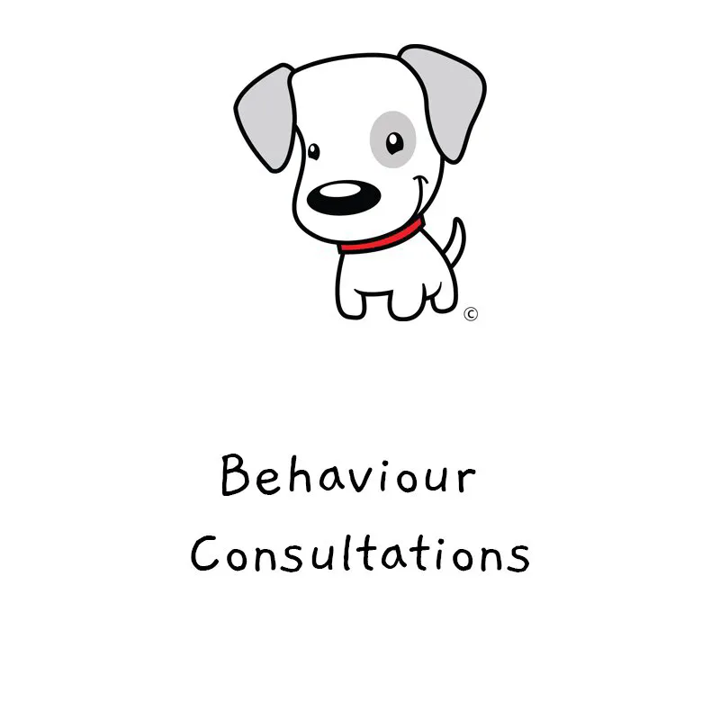 Canine Behaviour Consultation