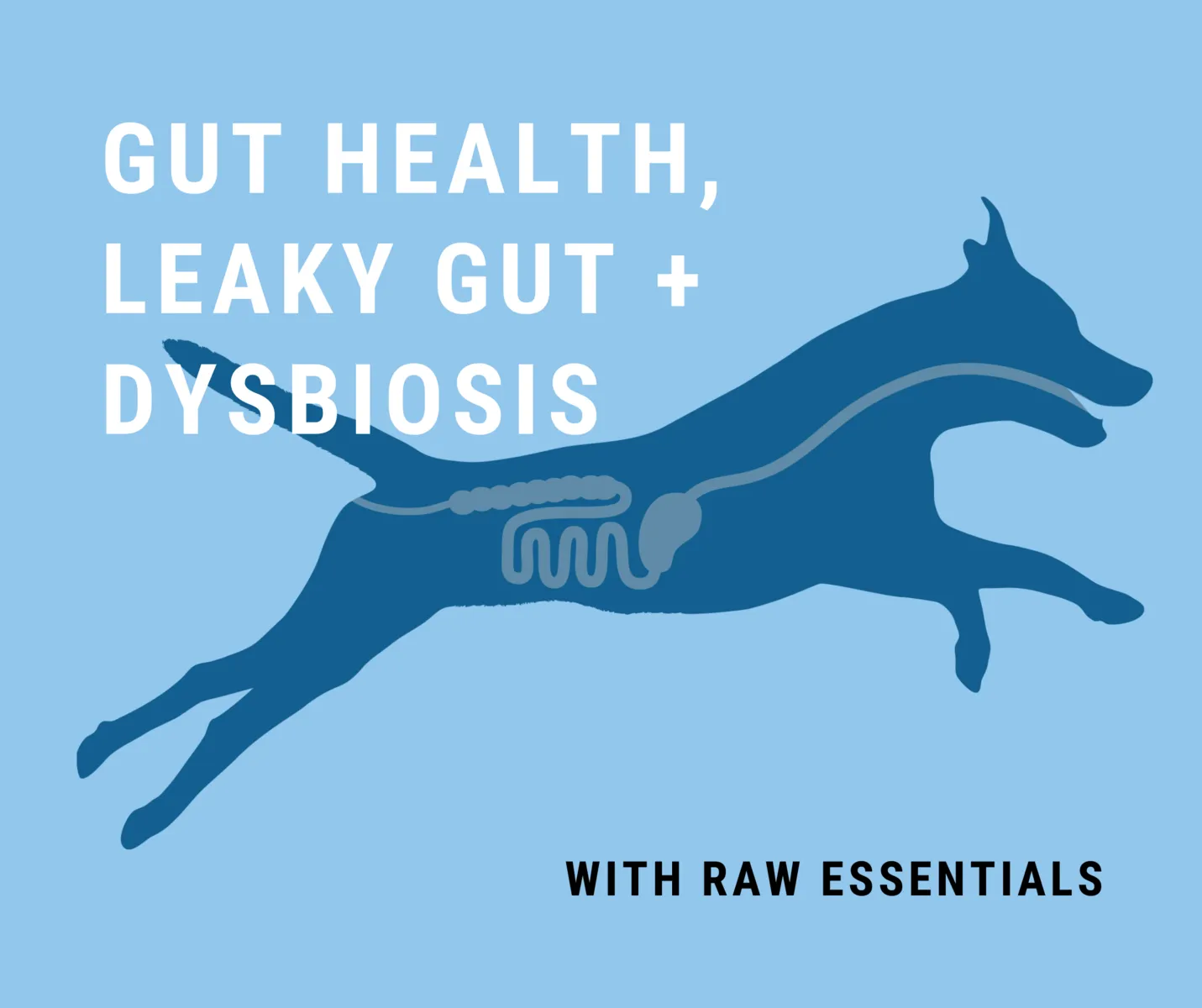 Gut Health, Leaky Gut And Dysbiosis