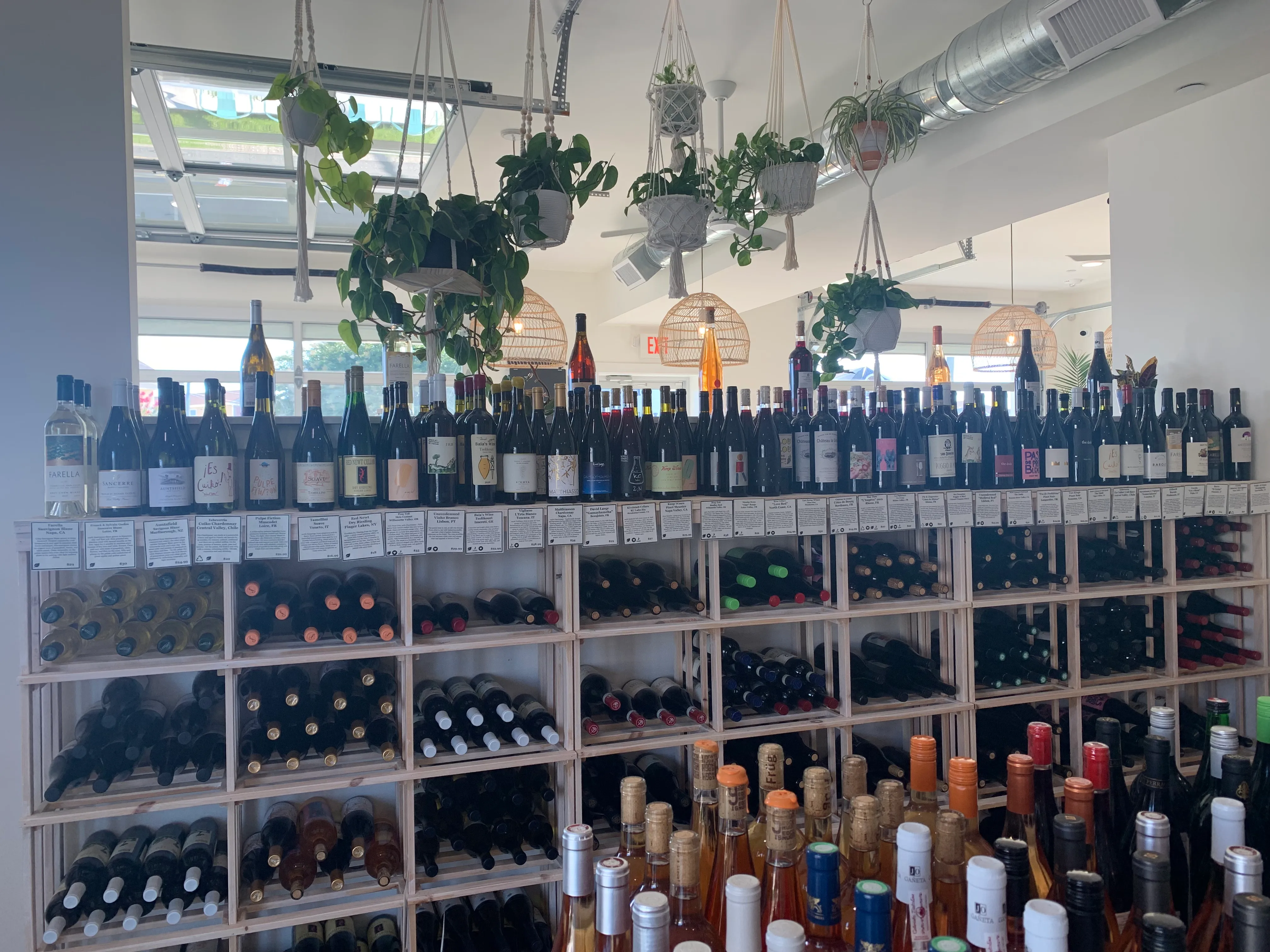 Wahine Wine Local and Seasonal Wines in Ventnor, NJ