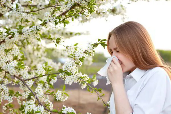 Woman with allergies using a tissue by blooming trees outdoors.