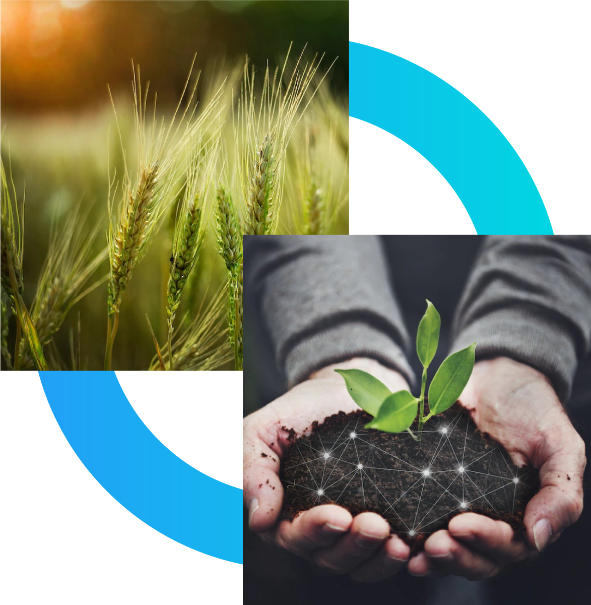 Agri Feeds & Fertilizer Helena, MT