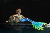 Mermaid Tail - Sea Dragon 