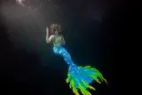 Mermaid Tail - Sea Dragon 