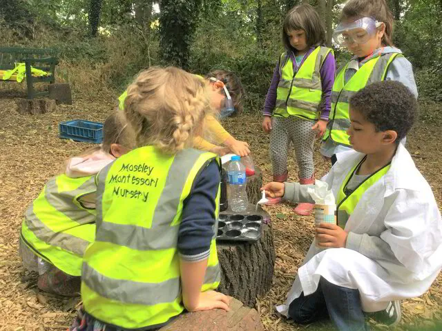 children learning in a woodland