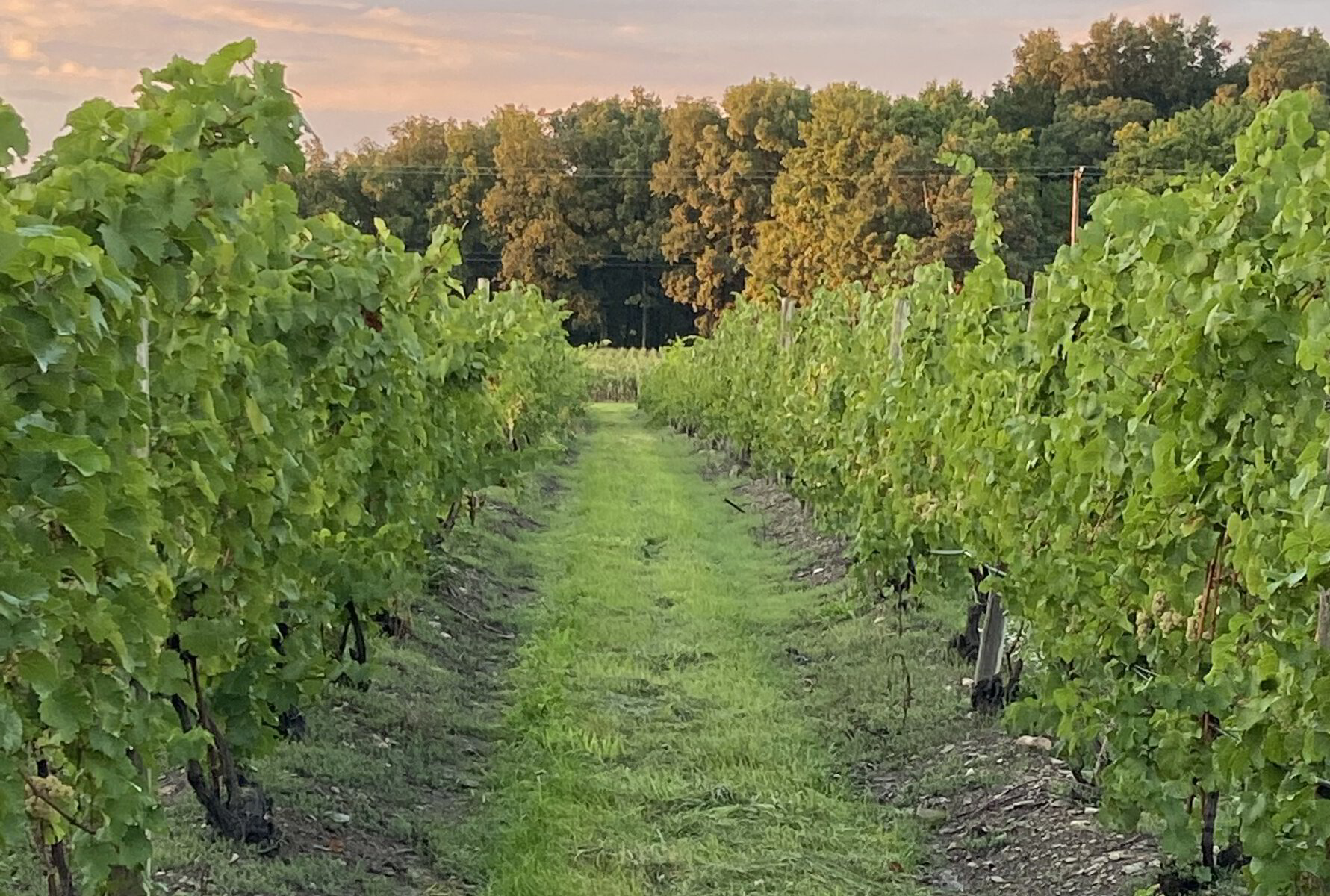 Prejean Winery