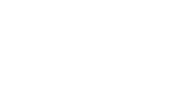 American Elite School