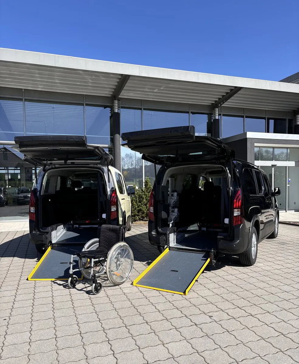 Auto Mit Rollstuhlrampe Kaufen