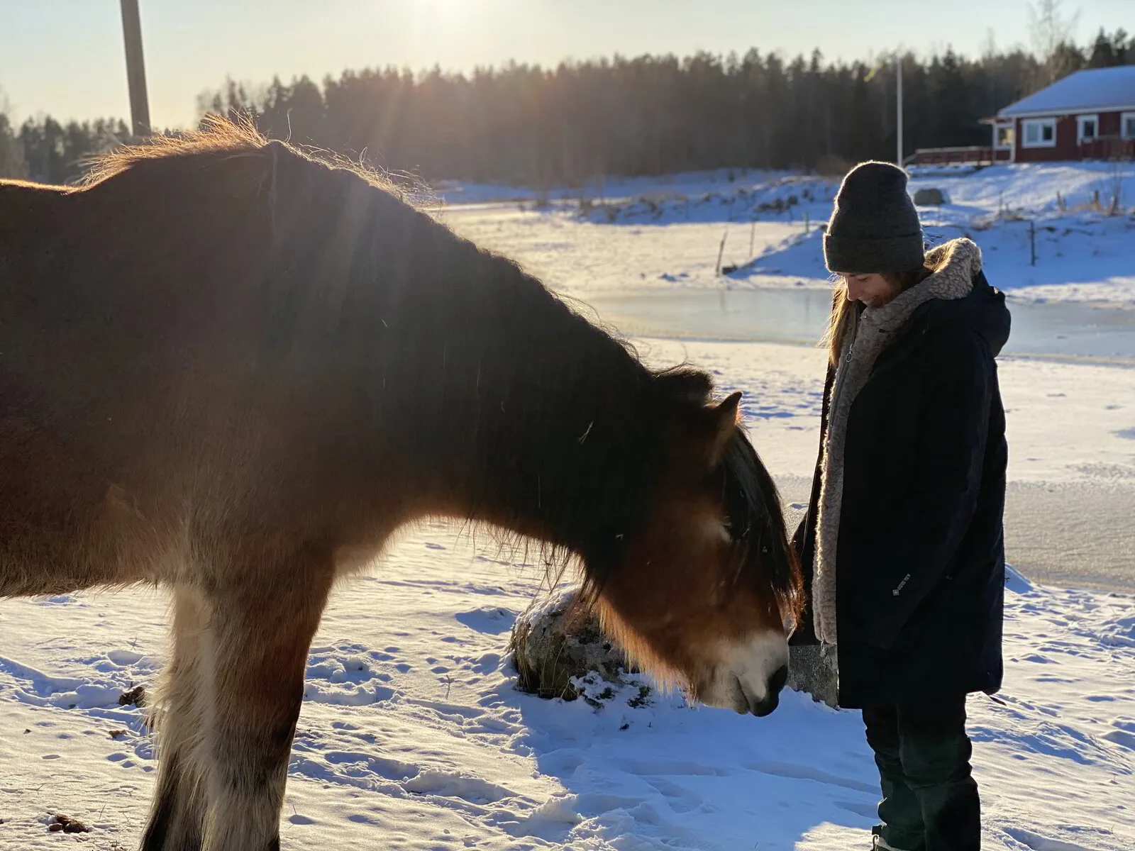 Inre Hälsa med Hästar, 17 februari. Järvsö