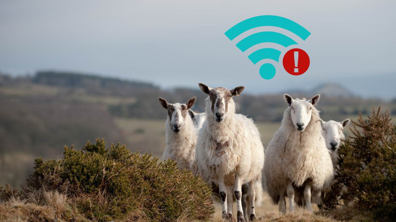 Bridging the Digital Divide: The Future of Broadband in Rural Areas