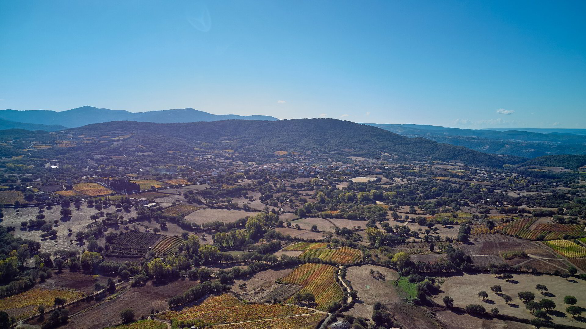 Vitivinicola Etzo — foto 6