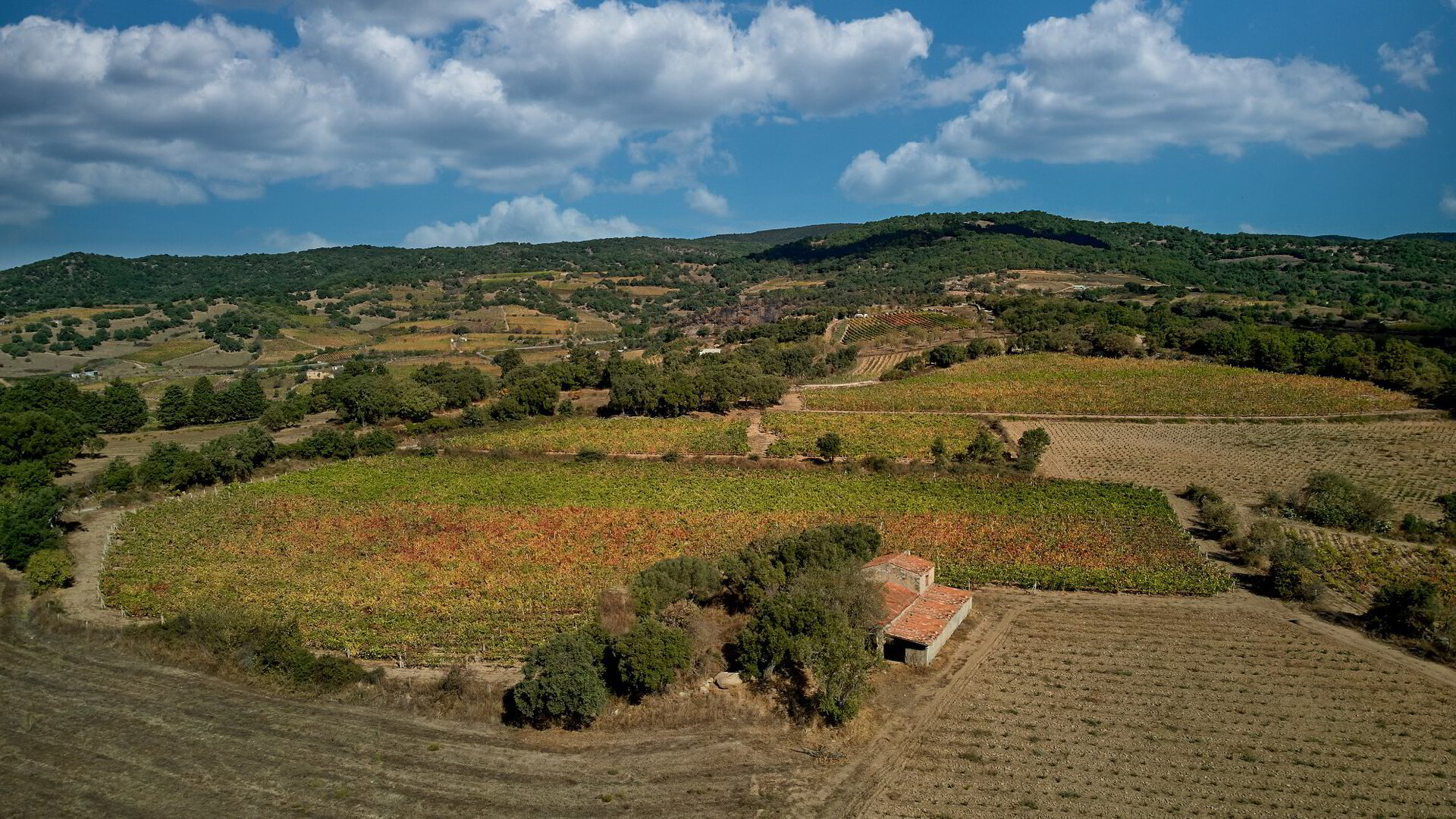 Vitivinicola Etzo — foto 2
