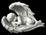 Baby Angels enfolded in wings