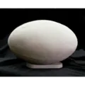 Marble Rugby Ball