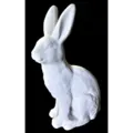 AN11 : Sitting Hare (Rabbit)