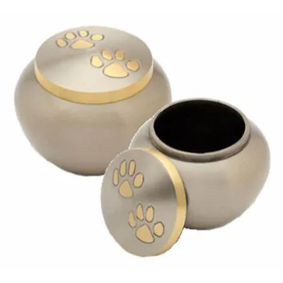 Paws Pet Cremation Urn - 5inches