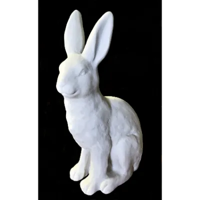 AN11 : Sitting Hare (Rabbit)