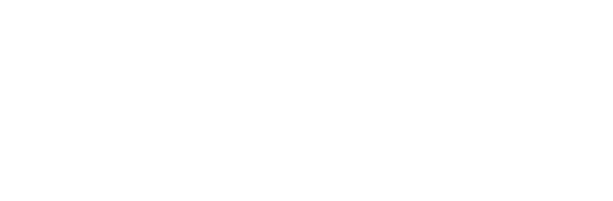 Ulysses Wang Signature Logo