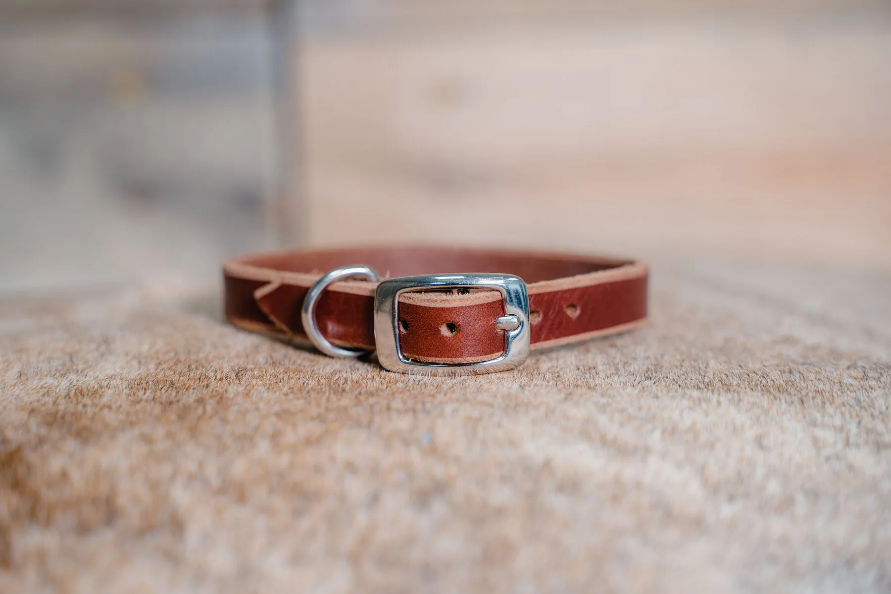 5/8" Leather Pet Collar: Brown