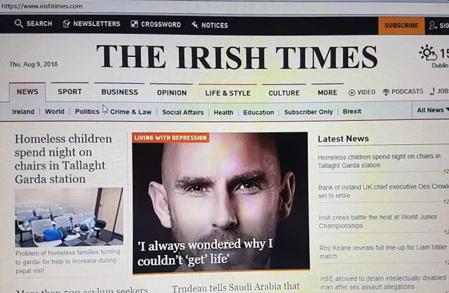 Irish Times Article