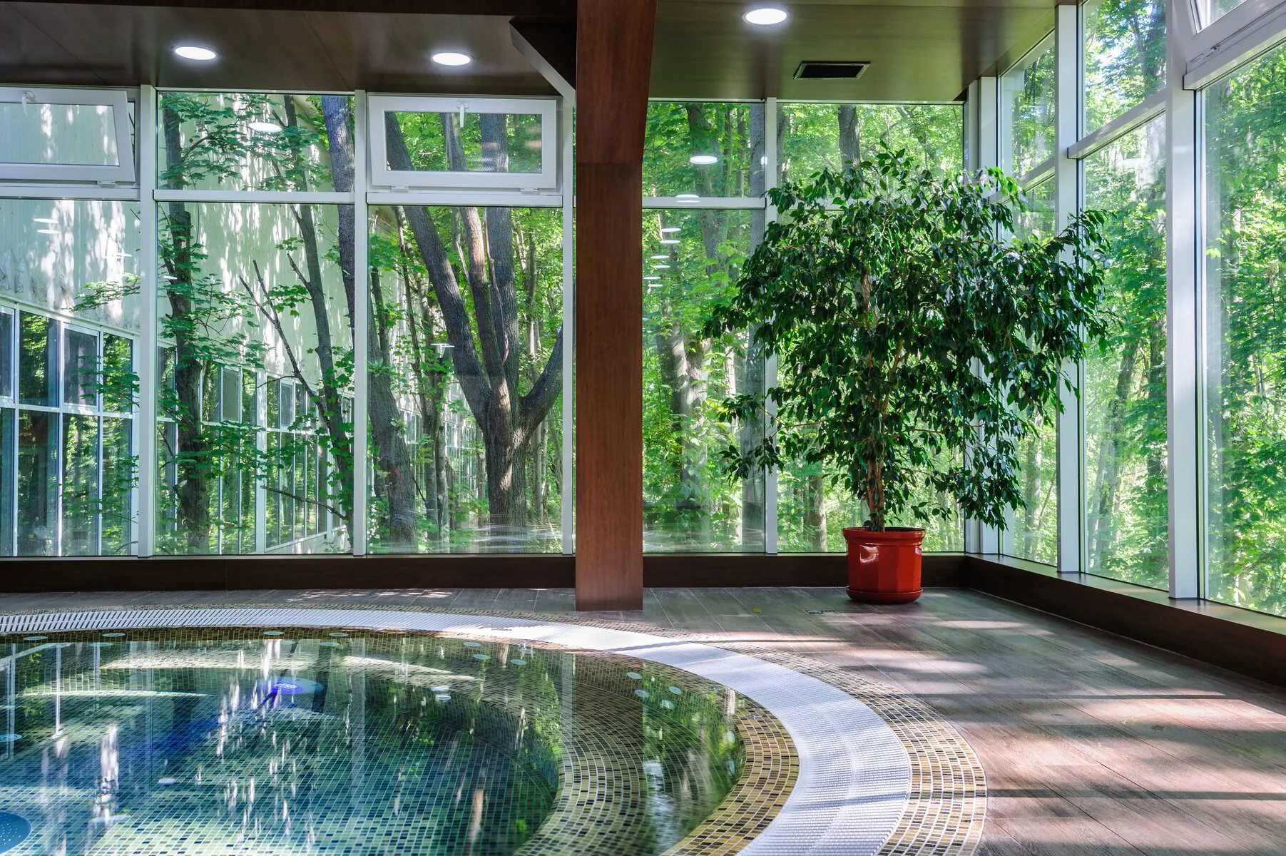 Living Pools & Spas. Luxury indoor pool with potted plant and large glass windows surrounded by trees outside