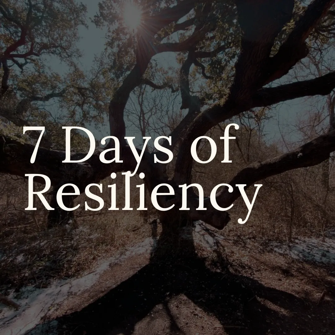7 Day Resilience Mini Reset