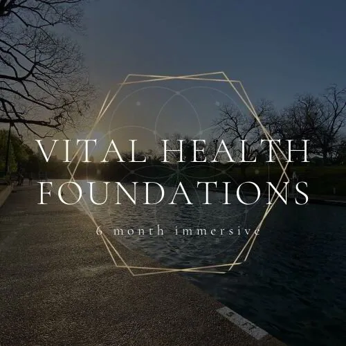 The Senchune Vital Health Foundations 6 Month Immersive