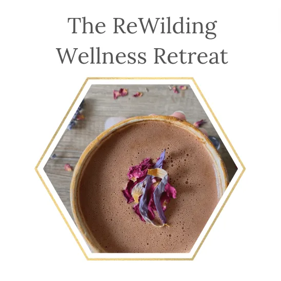 The ReWilding Wellness Retreat