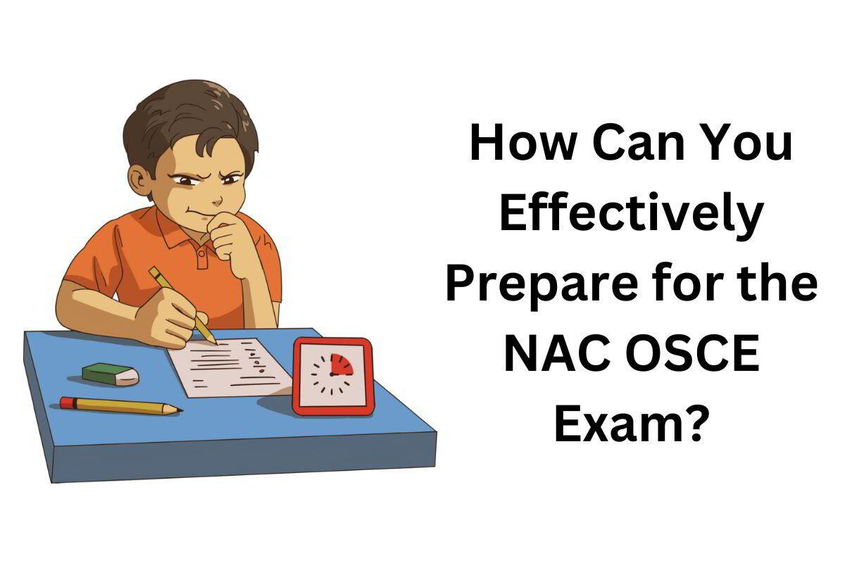 MedCognito Exam Preparation Series How Can You Effectively Prepare