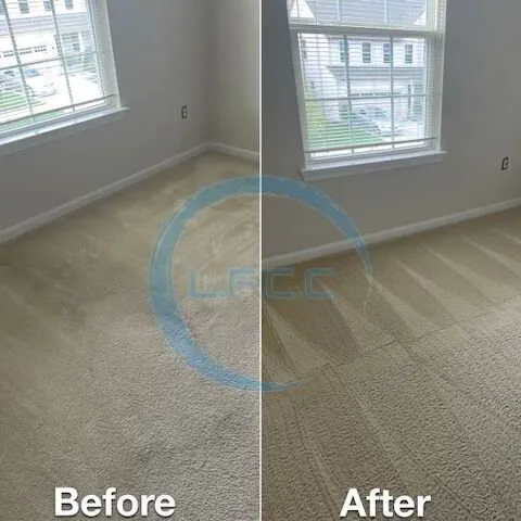 Revitalize Your Home With Littles Floor Carpet Cleaning