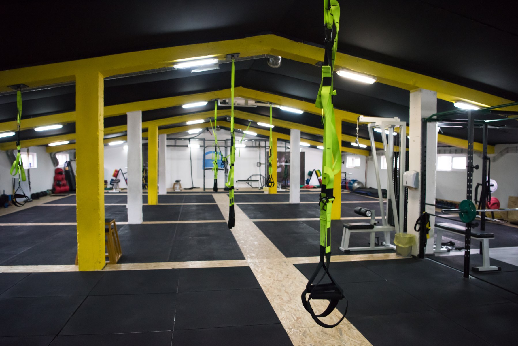 Steel as the Leading Choice for Gyms