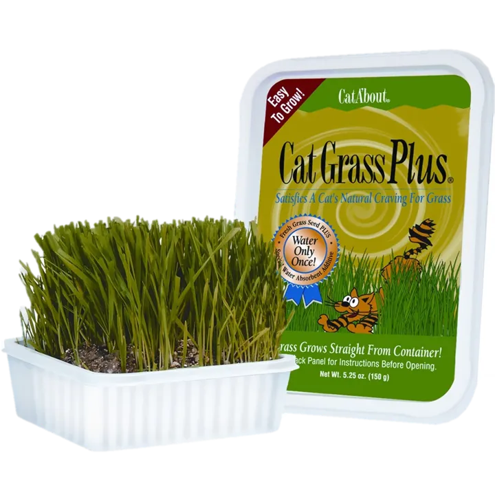 Miracle Care Cat A'bout Cat Grass Plus Tub 