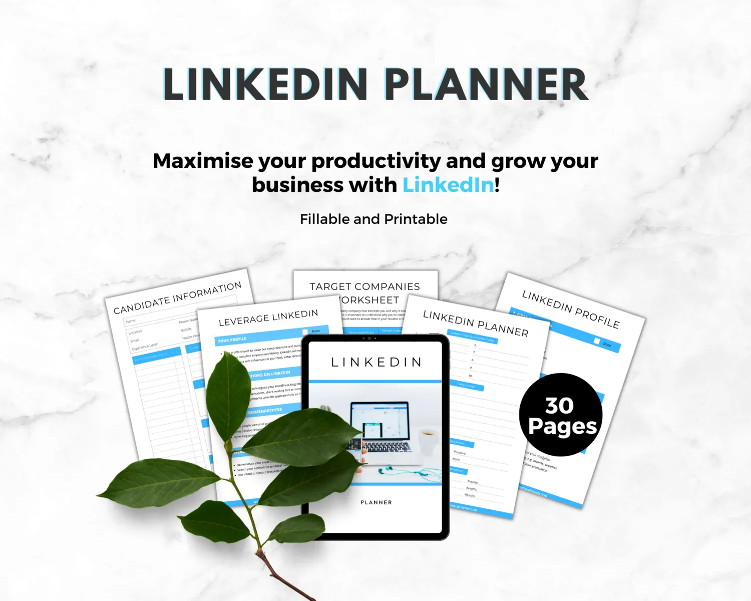 LinkedIn Planner | Elevate Your Presence, Network Effectively, and Boost Your Business