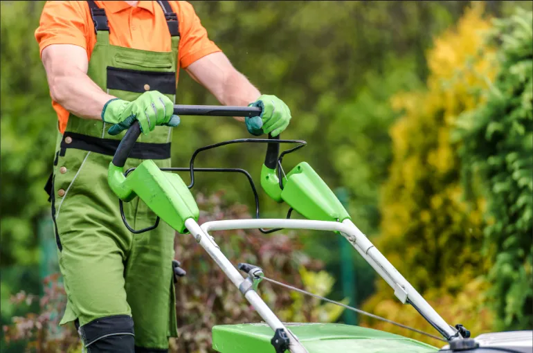 Basic Lawn Care Maintenance Bi-Monthly Subscription