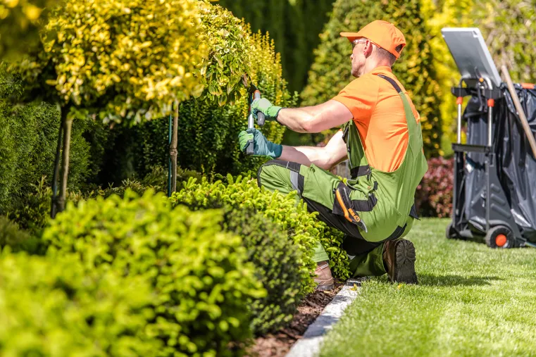 Advanced Lawn Care Maintenance Bi-Monthly Subscription