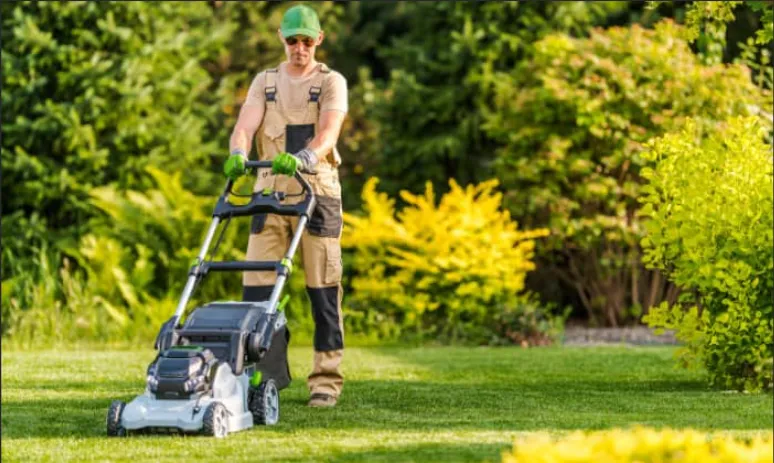 Basic Lawn Care Maintenance Monthly Subscription