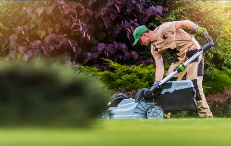 Advanced Lawn Care Maintenance Monthly Subscription