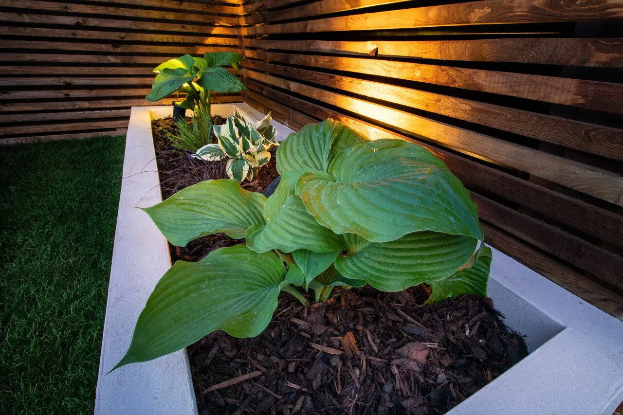 Rich Green Gardens project photo