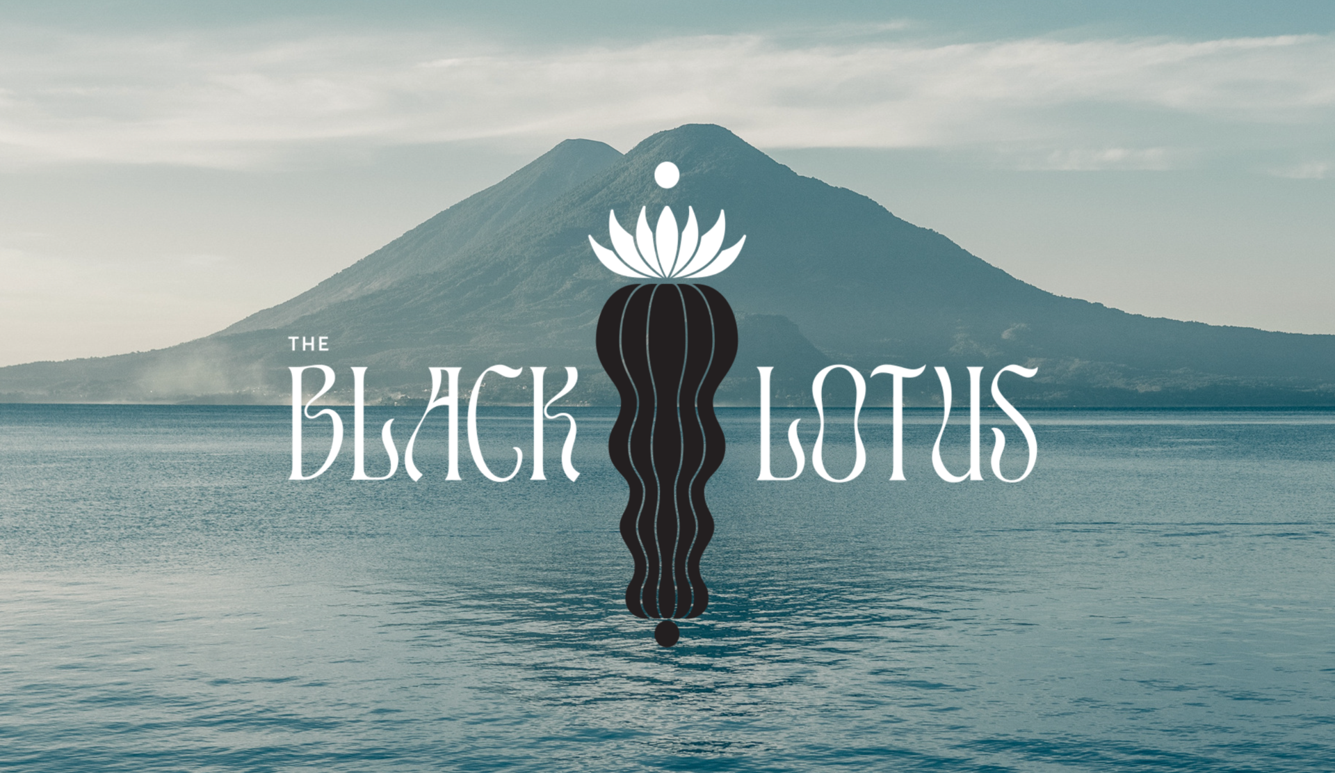 The Black Lotus