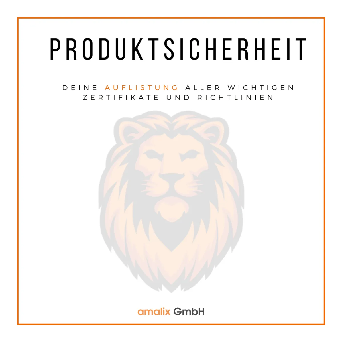 Produktsicherheits-Anfrage