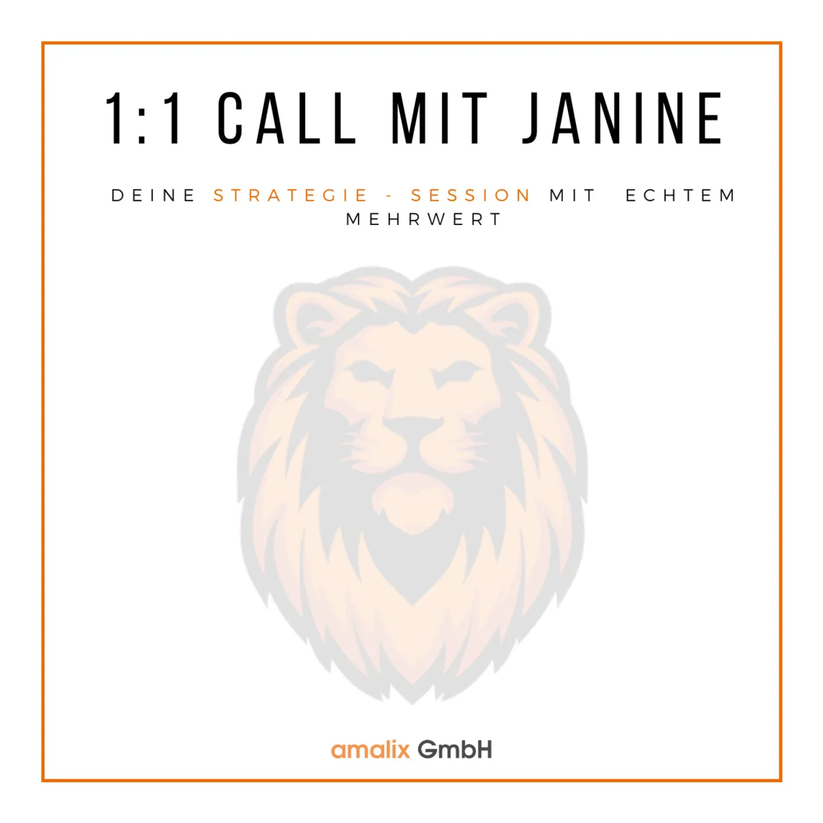 1zu1 Strategiegespräch mit Janine